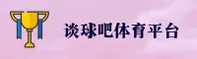 使用指南与常见问题