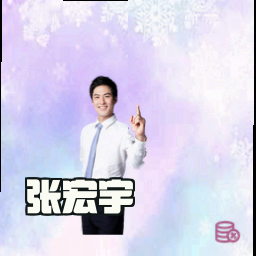 张宏宇